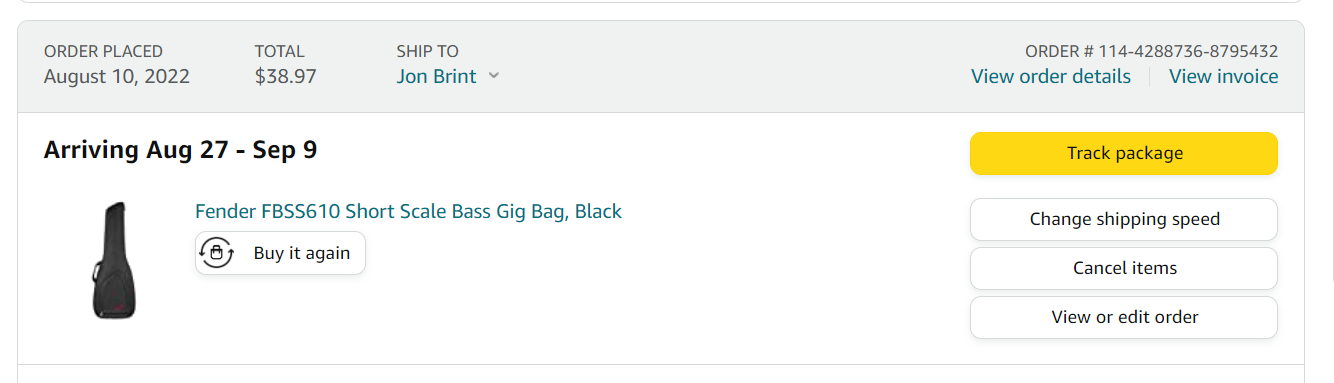 Shortie Gig Bag.png