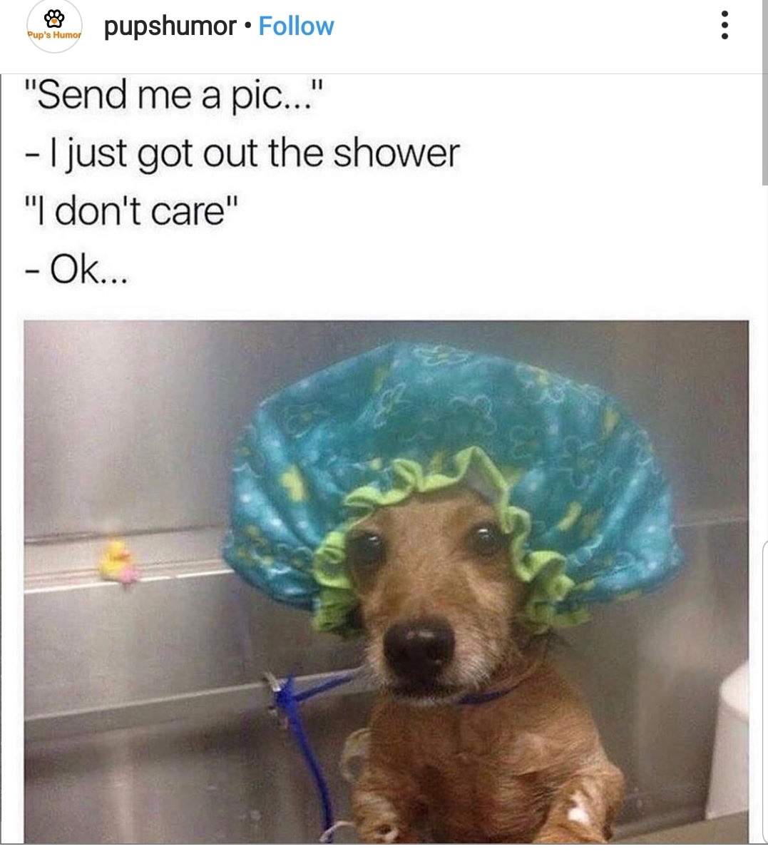 shower dog.jpg