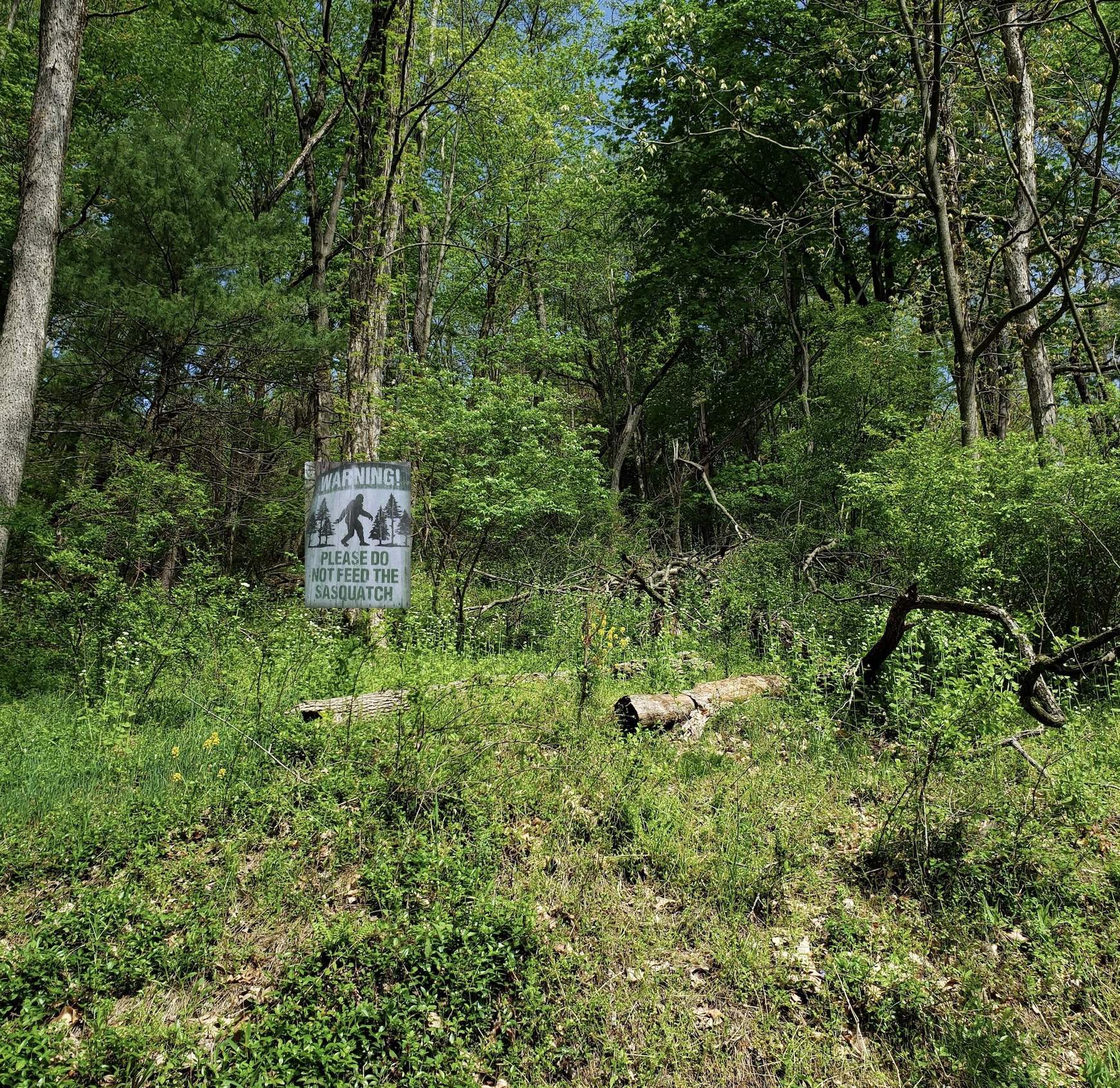 sign sm.jpg