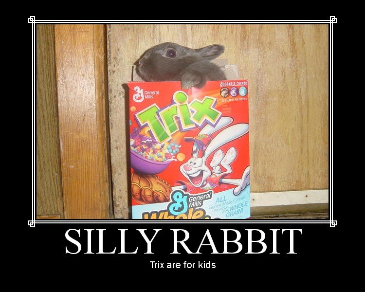 Silly_7cf19e_415932.jpg