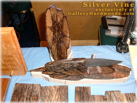 silver_vine.jpg