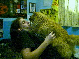 Simba.jpg