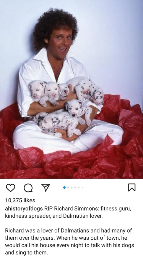 Simmons dogs.jpg