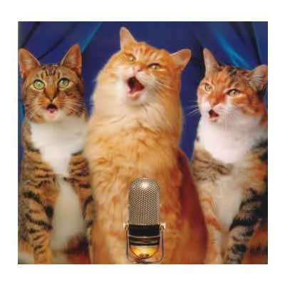 singing-cats-sq400.jpg