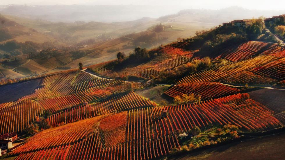 sipa_wine_lamorra.jpg