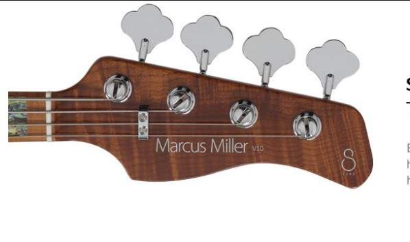 sireheadstock.jpg