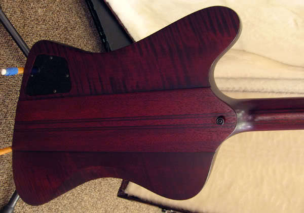 sixx-body-back.jpg
