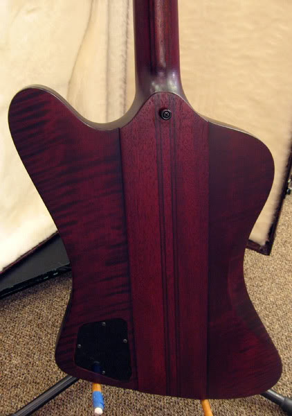 sixx-body-back.jpg