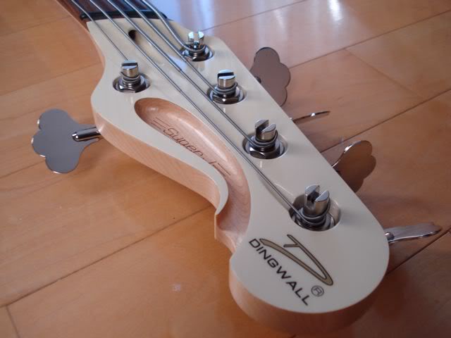 SJ5006.jpg