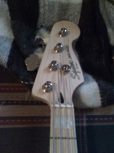 sj77headstock.jpg
