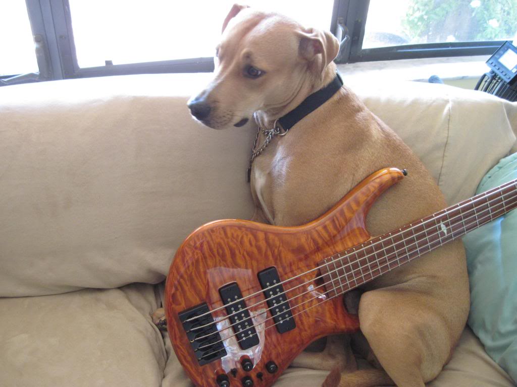 SKB-3005FrettedwithDuke.jpg