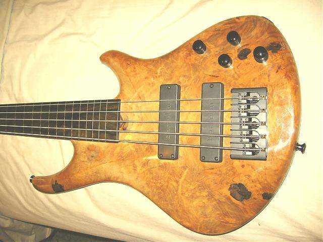 skb fretless.jpg