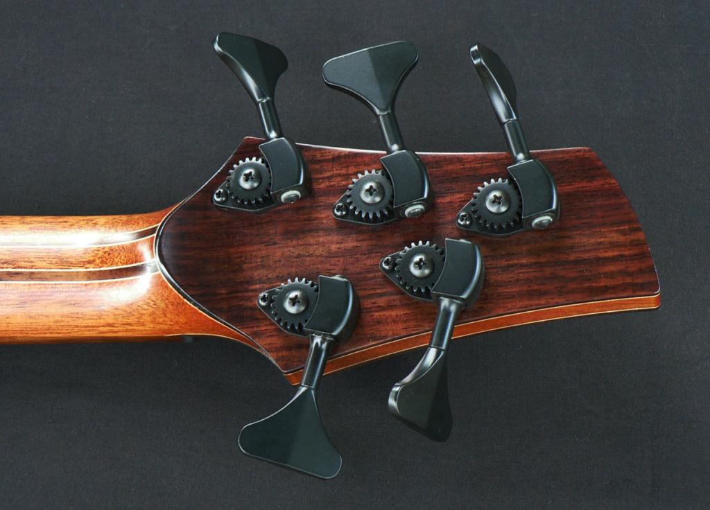 Skelbass5.jpg