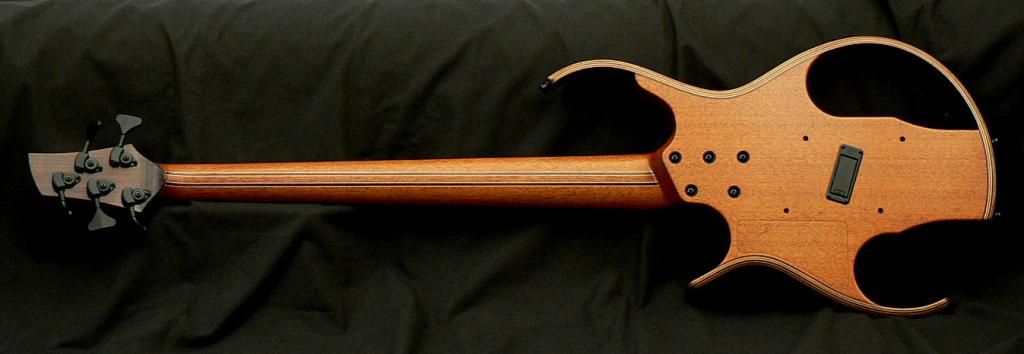 Skelbass6.jpg