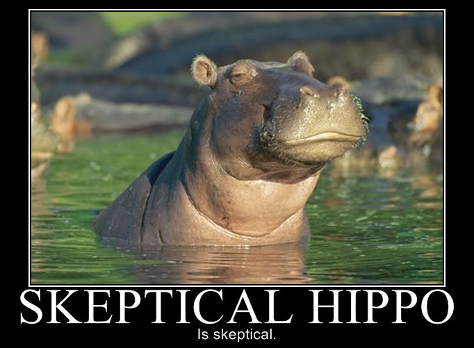 SkepticalHippo.jpg
