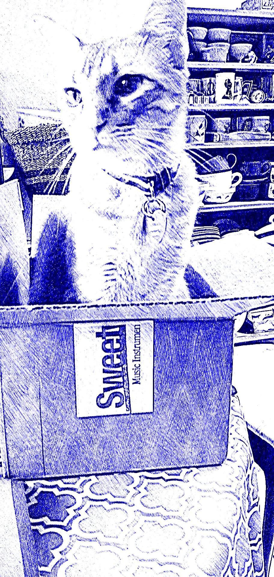 sketch1600466919461.jpg