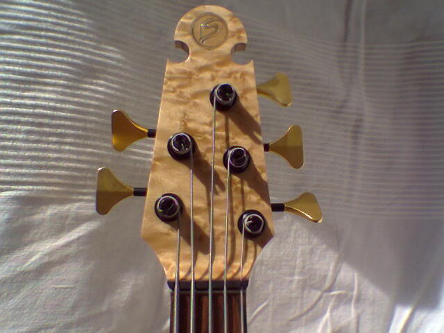 Skjold1_2.jpg