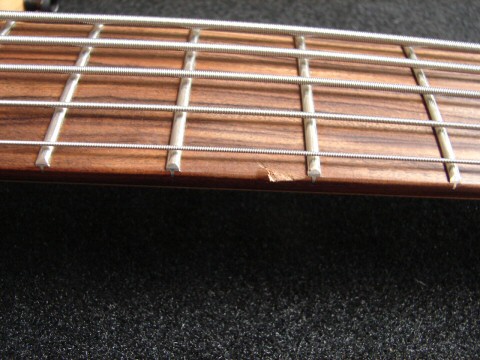 skjold_cut.jpg