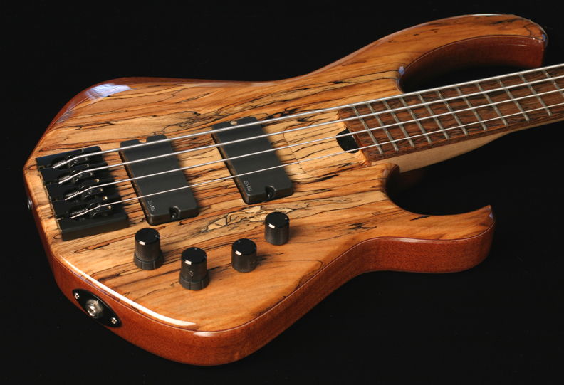 skjold_ec4_spbw_bodyside.jpg