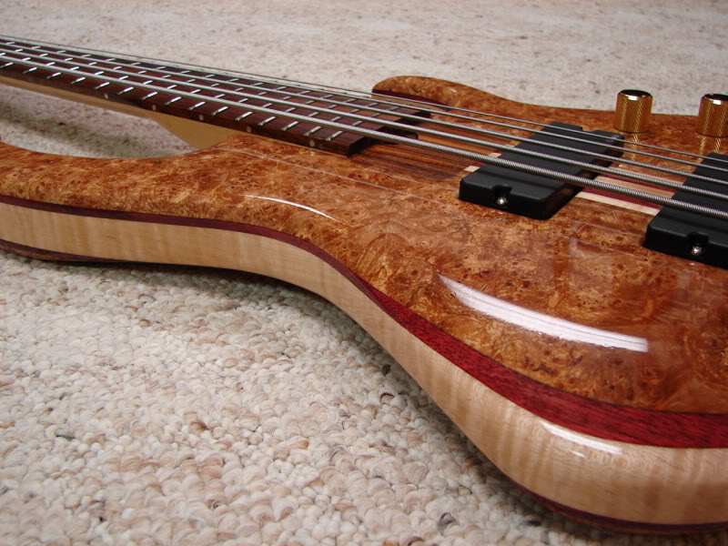 skjold_ec5_02.jpg