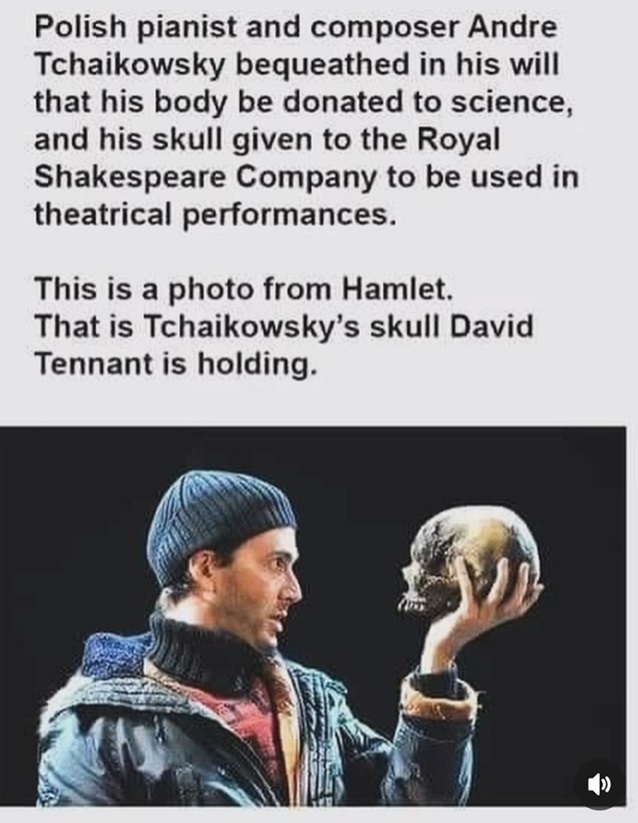 skull amazing.jpg