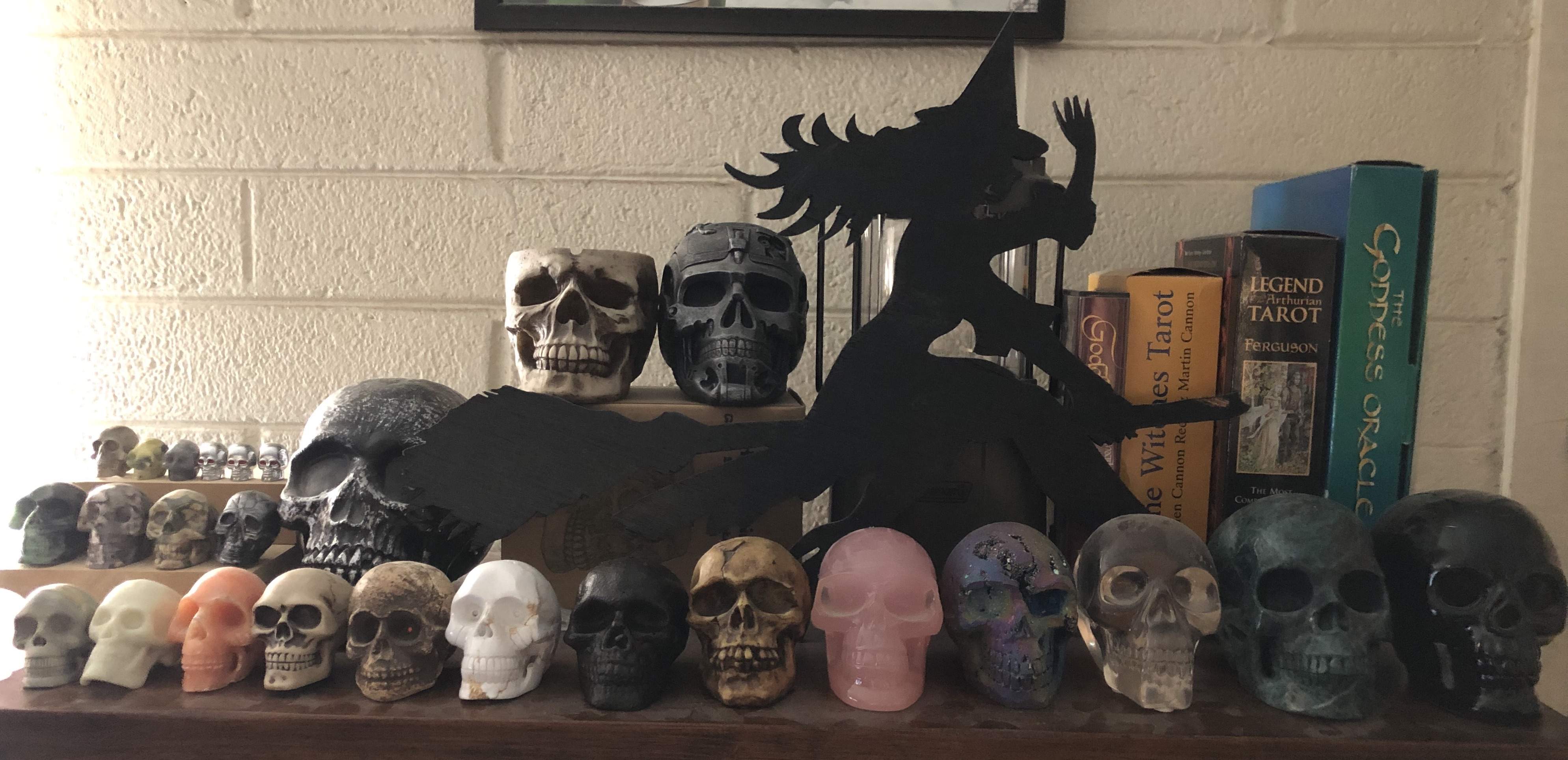 skull collection.jpg