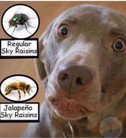 sky raisins.jpg