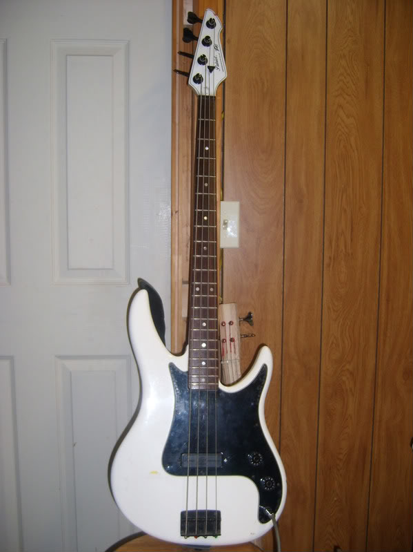 SL730144.jpg