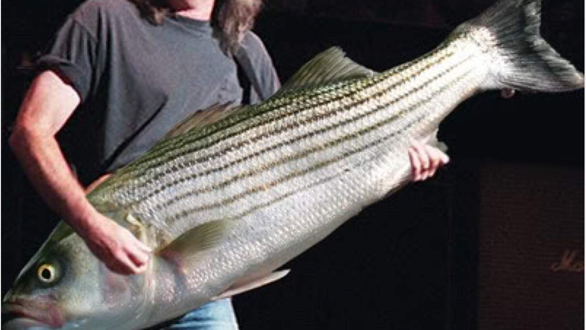 slappin' da fish.jpg