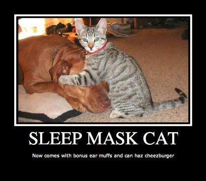 sleep_mask_cat.jpg