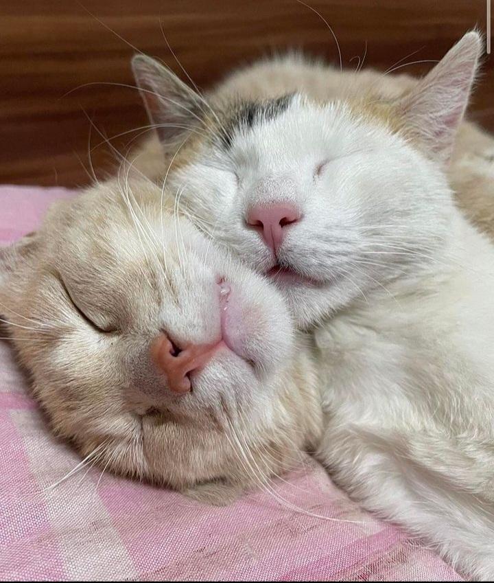 sleeping.jpg