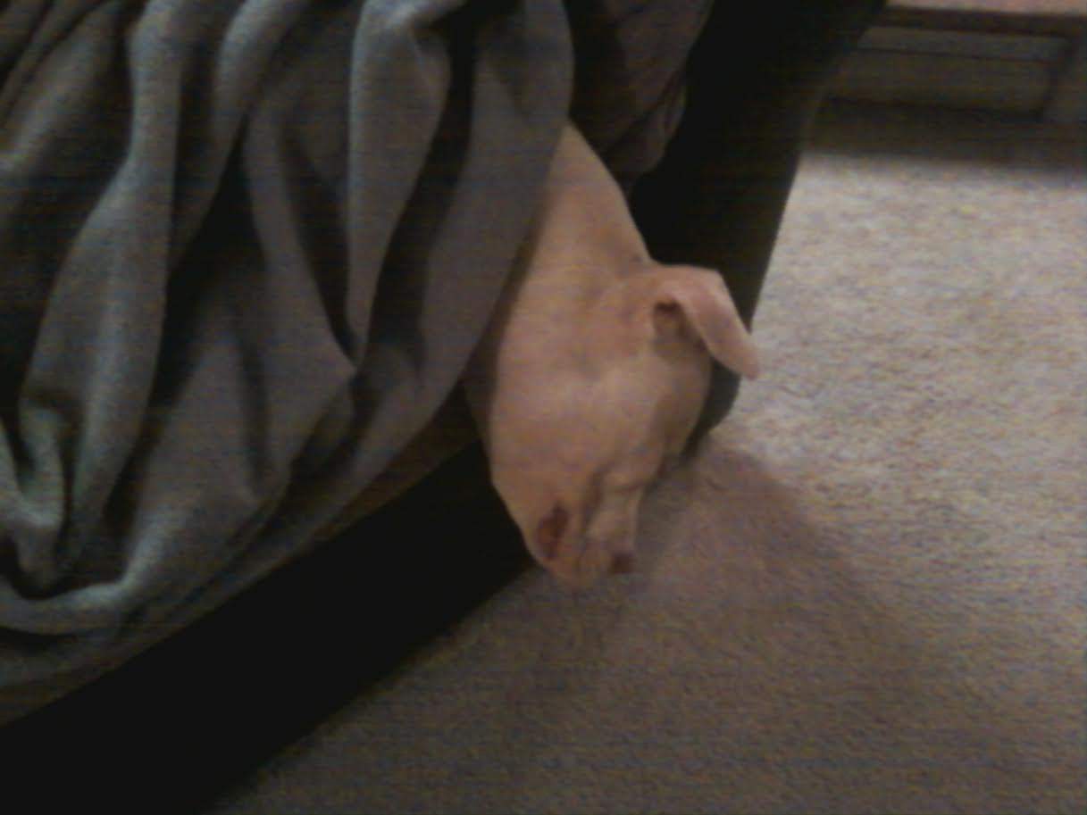 sleepy boy.jpg