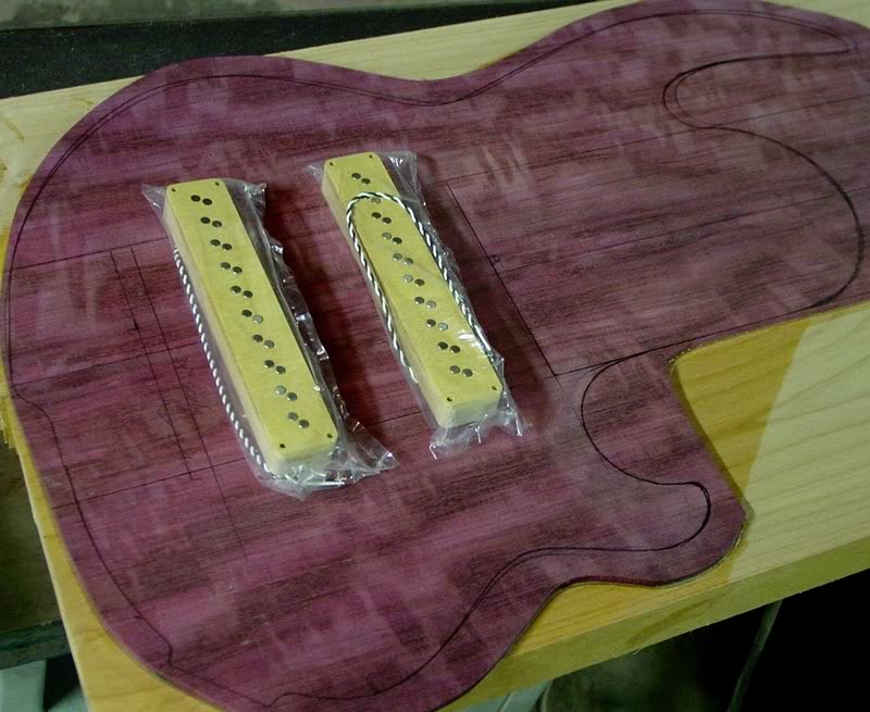 SM10top_and_pickups.jpg