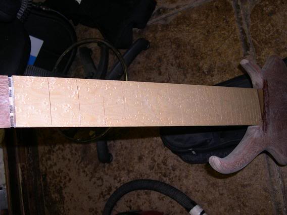 SmallBass8.jpg