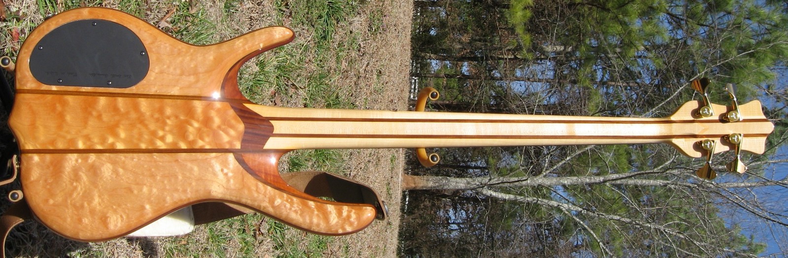 smith_back_022507.jpg