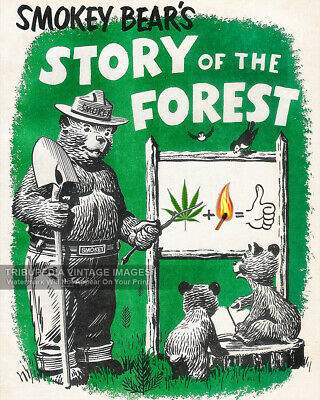 Smokey the Bear 01.jpg