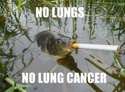 smoking-fish.jpg