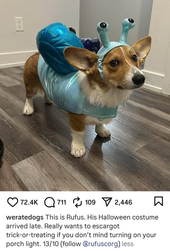 snail dog.jpg