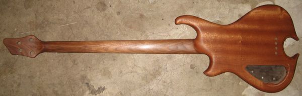 snakewood28.jpg