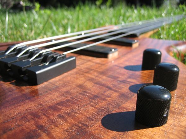snakewood37.jpg