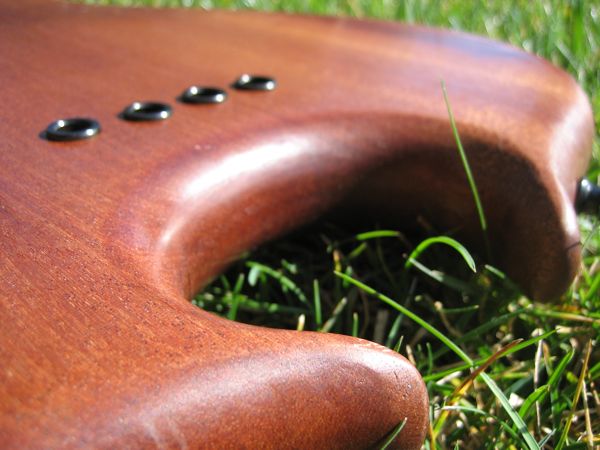 snakewood39.jpg
