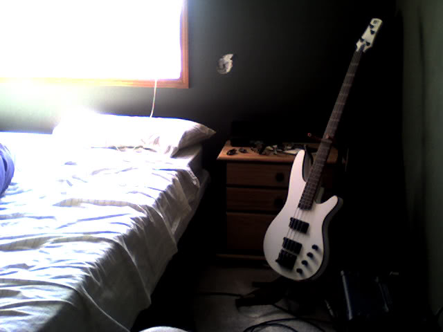 Snapshot_20090901.jpg