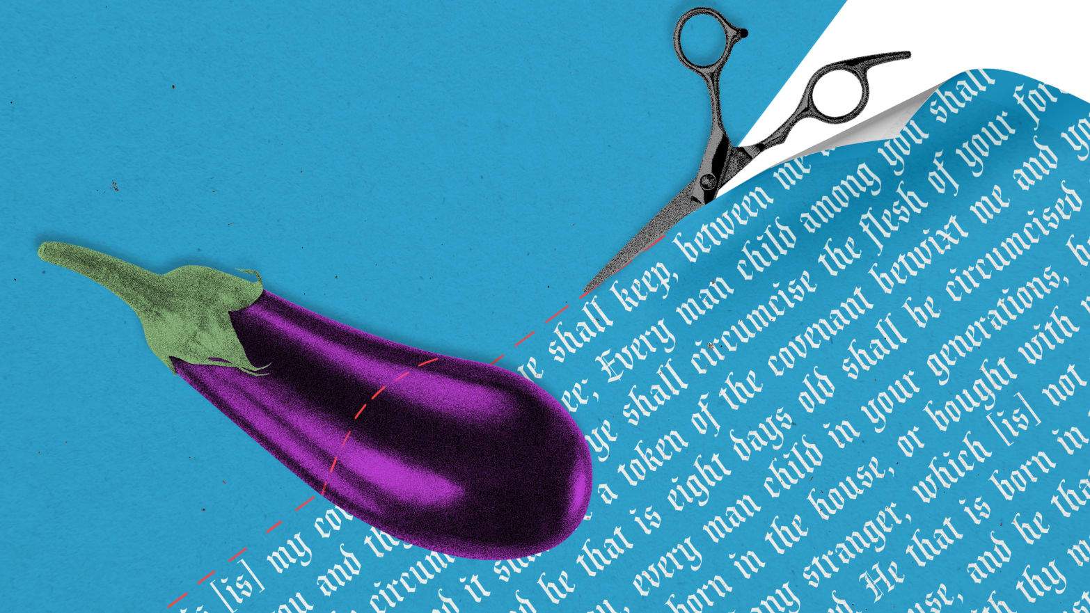snip.jpg