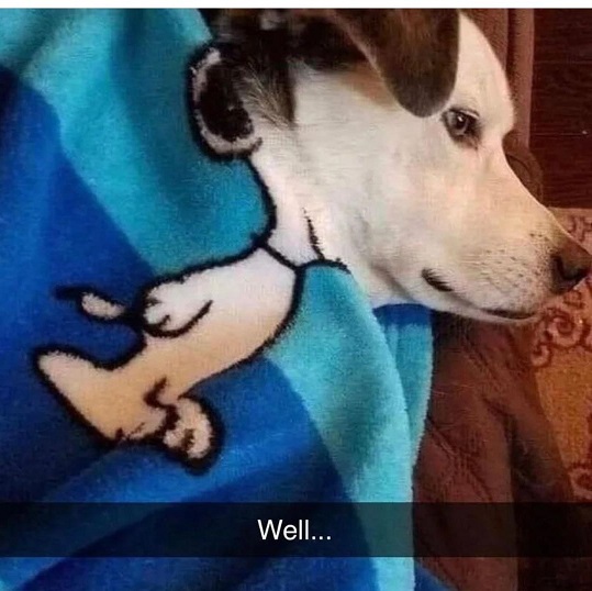 snoopy.jpg