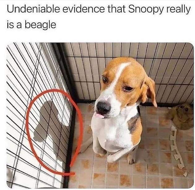 snoopy shadow.jpg