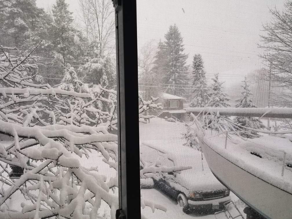 Snow.jpg