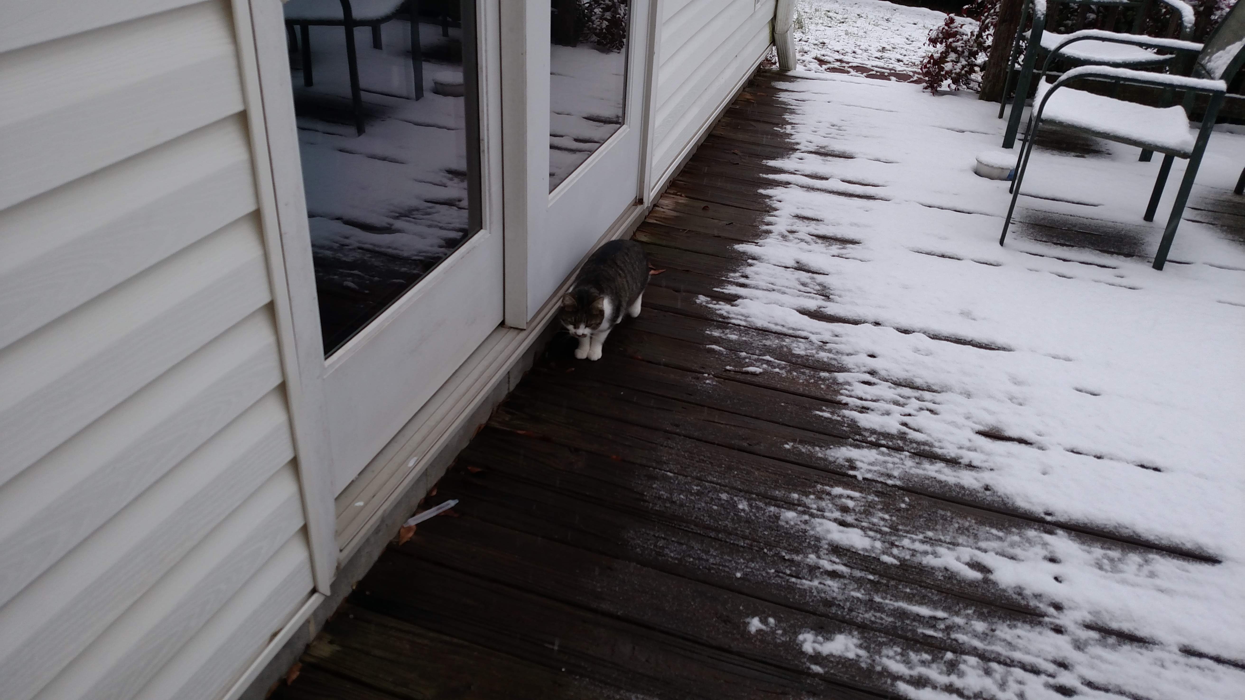 snow.jpg
