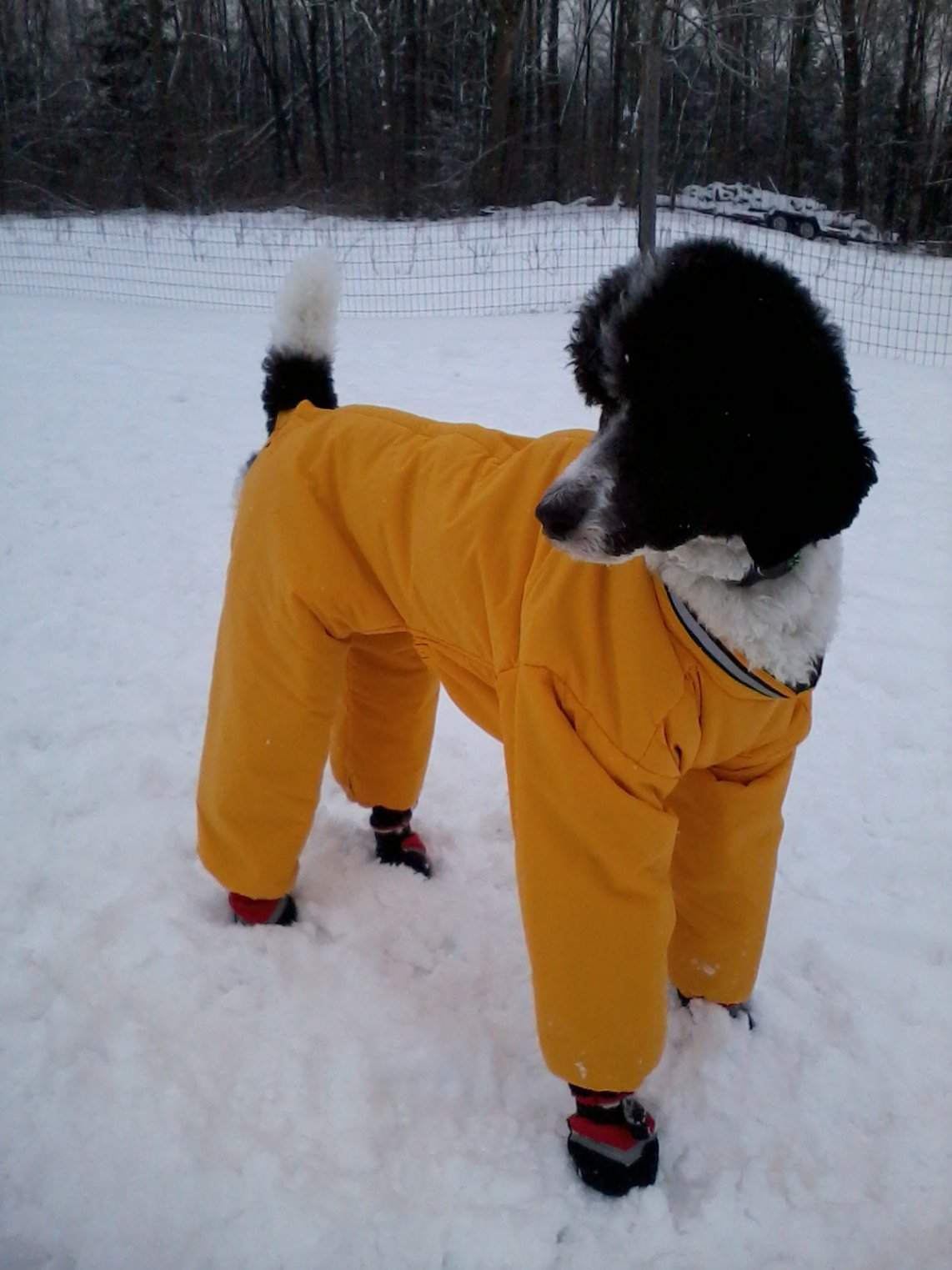 snow suit.jpg