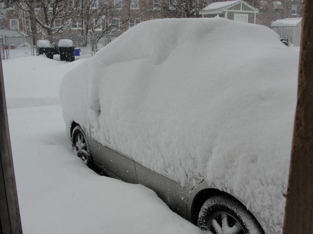 snow2-6-2010008.jpg