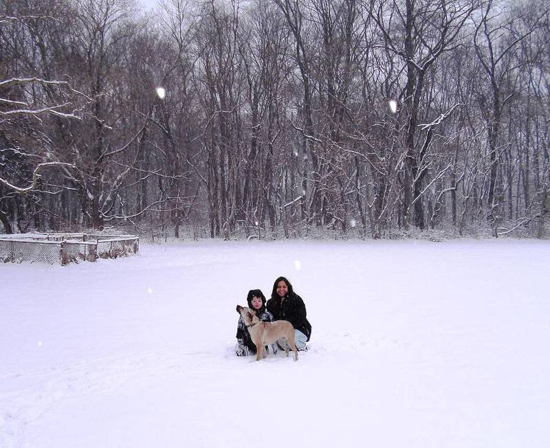 snow2.jpg